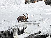 Nikon Z 6 Nikkor 80-400mm