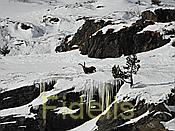 Nikon Z 6 Nikkor 80-400mm