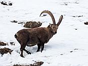 Nikon Z 6 Nikkor 80-400mm