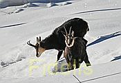 Nikon Z 6 Nikkor 80-400mm