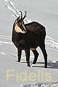 Nikon Z 6 Nikkor 80-400mm