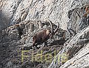 Nikon Z 6 Nikkor 80-400mm