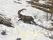 Nikon Z 6 Nikkor 80-400mm