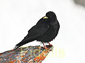 Nikon Z 6 Nikkor 80-400mm