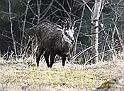 Nikon Z 6 Nikkor 80-400mm