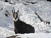 Nikon Z 6 Nikkor 80-400mm