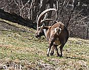 Nikon Z 6 Nikkor 80-400mm