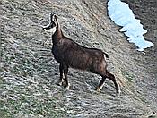 Nikon Z 6 Nikkor 80-400mm