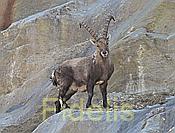 Nikon Z 6 Nikkor 80-400mm