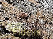 Nikon Z 6 Nikkor 80-400mm